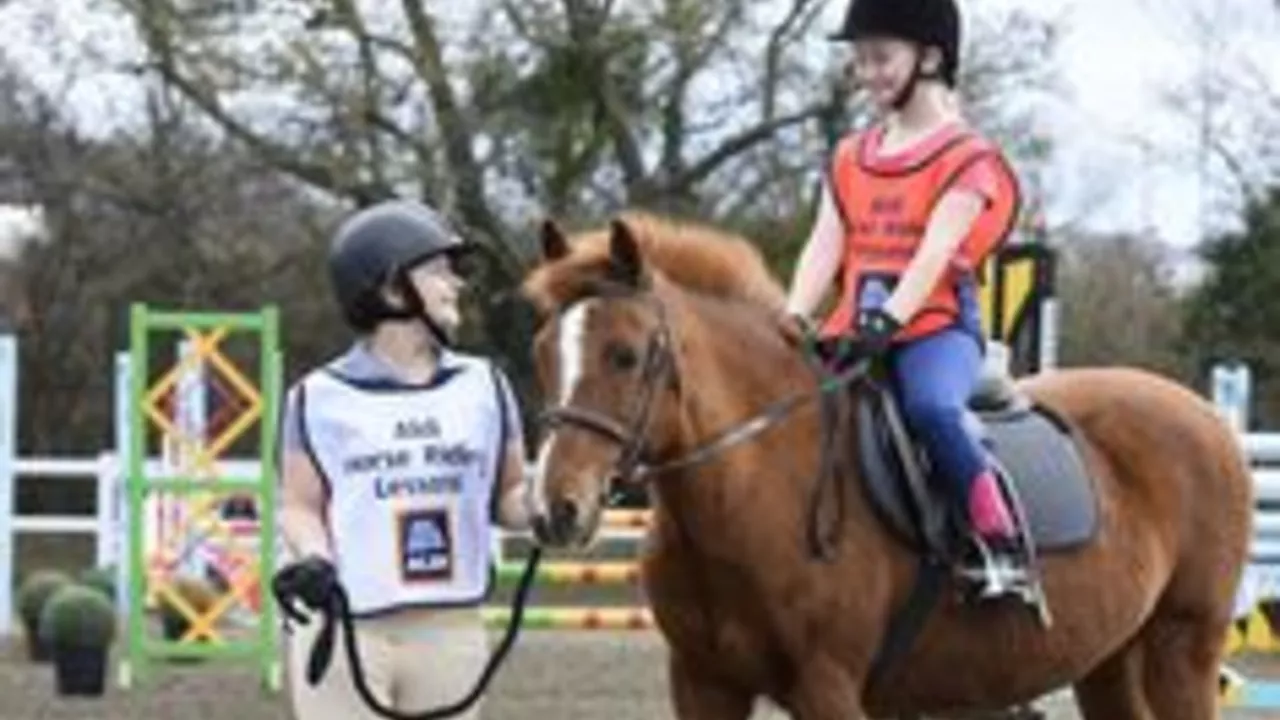 What are the cheapest horse riding clothes brands?