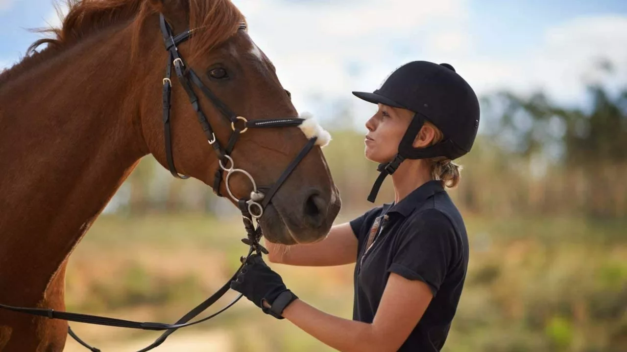 What makes horses and horseback riding so addictive?