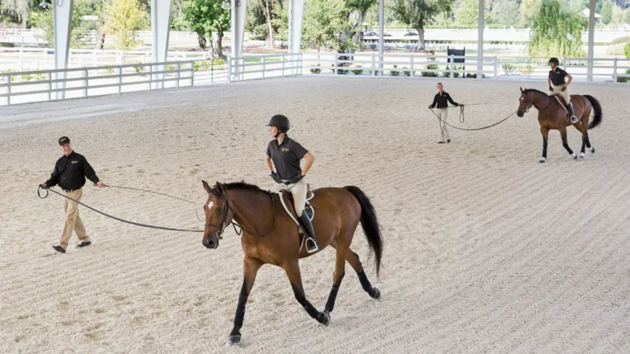Horseback Riding: What is a lunge lesson?